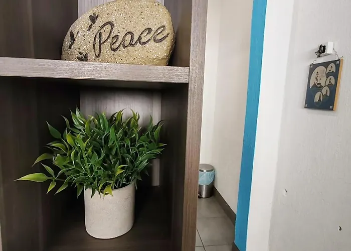 Apartamento Zona 1