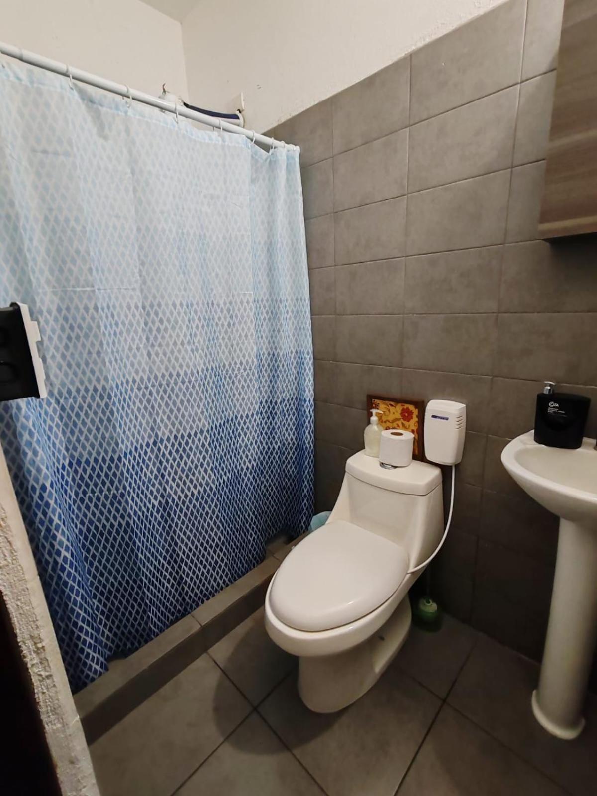 Apartment Zona 1